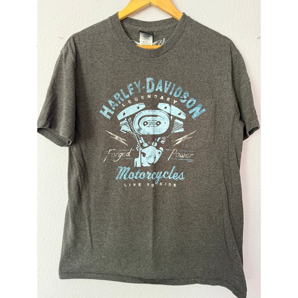 Harley Davidson T Shirt Cherokee North Carolina 2016 Biker Gray Mens L‎